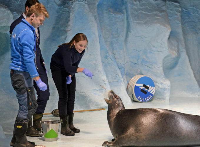 The Princess fed a bearded seal at the Polaria aquarium. Photo: Rune Stoltz Bertinussen / NTB scanpix.
